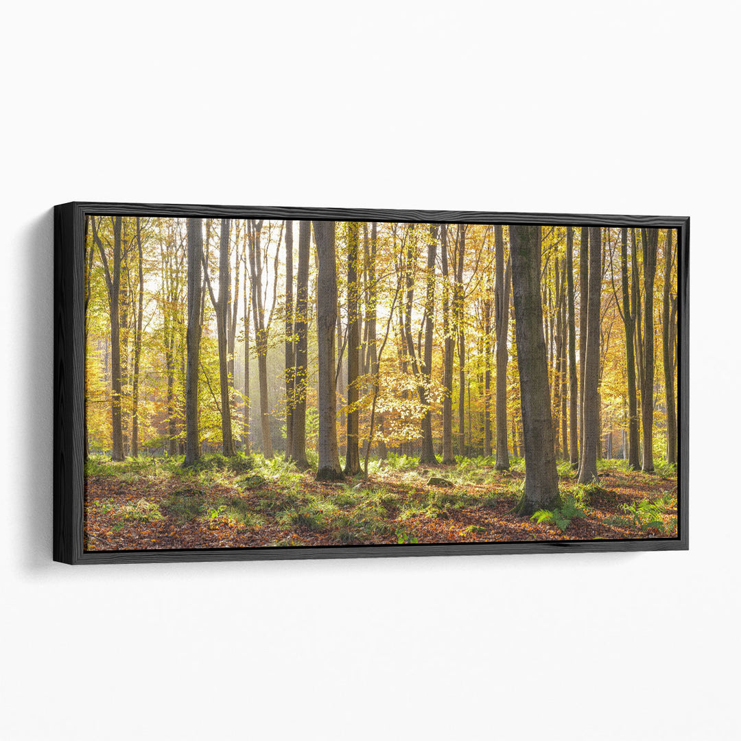 Autumn prints in soft golden hues