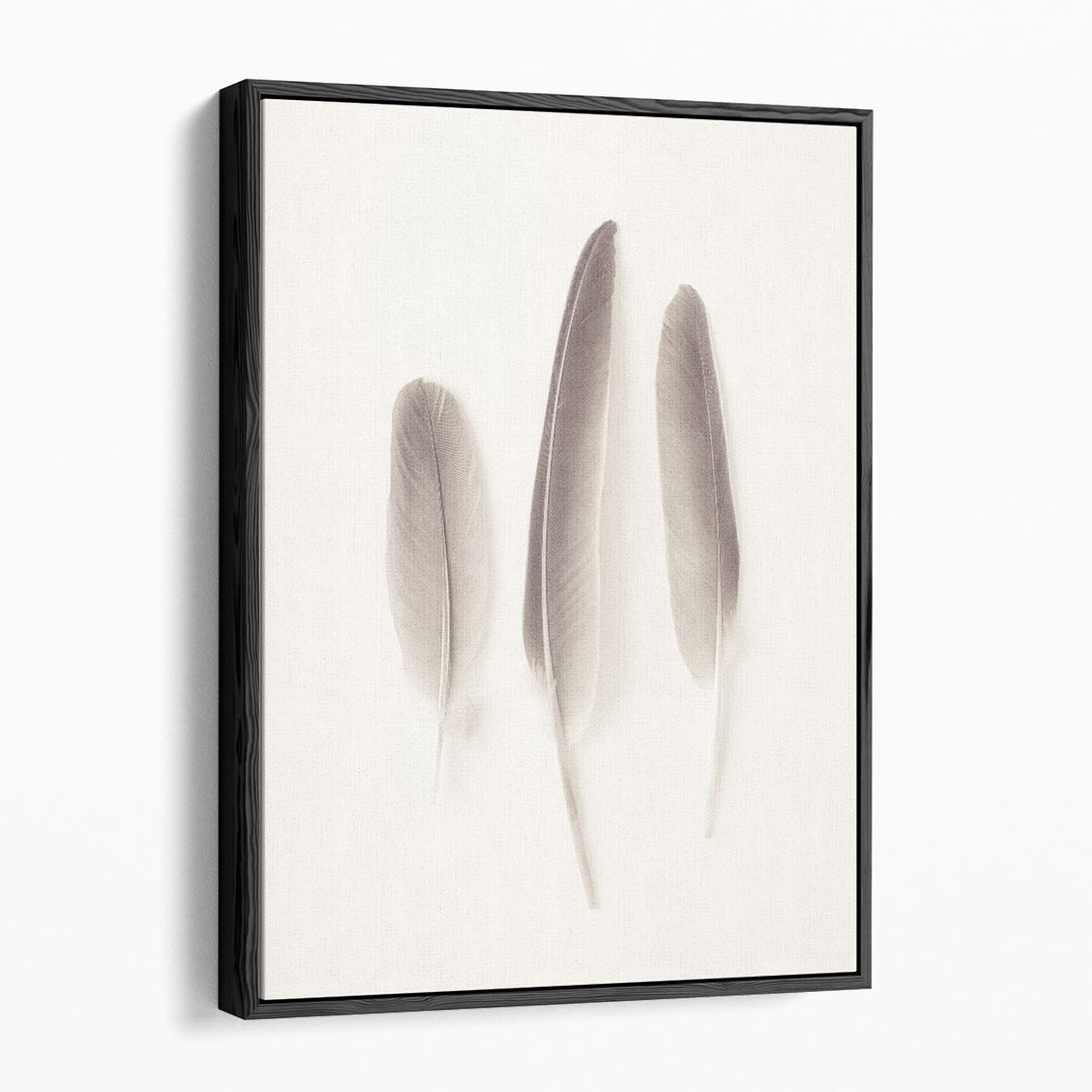 Feather Black And White - Canvas Print Wall Art