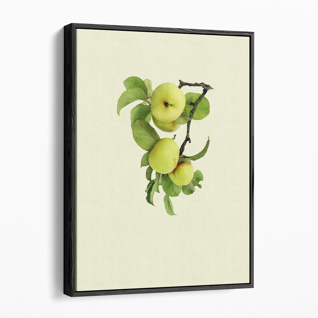 Still Life Botanical Prints – detailed leaf veins