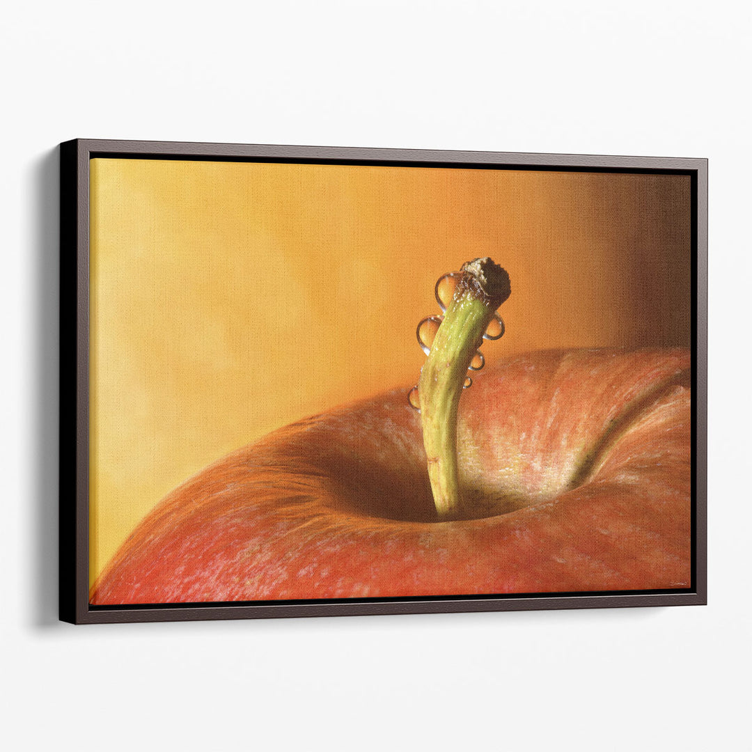 Close Up Framed Photography Prints – fruit art