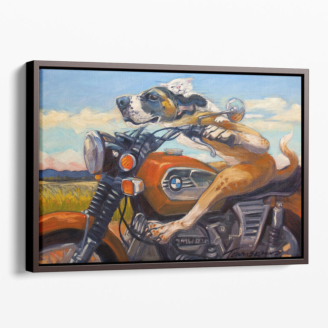 Fast And Furriest - Canvas Print Wall Art