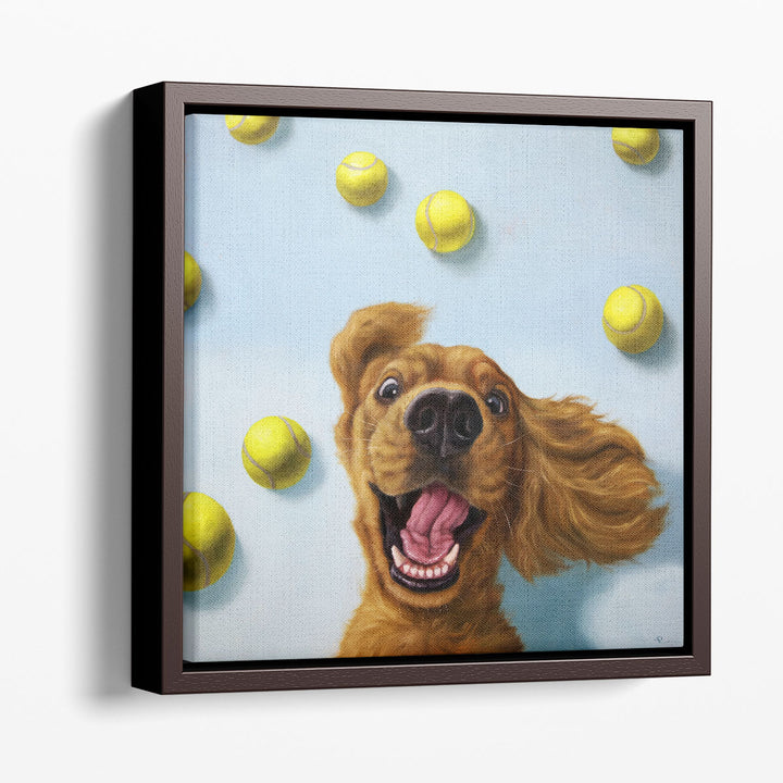 Ball Boy - Canvas Print Wall Art