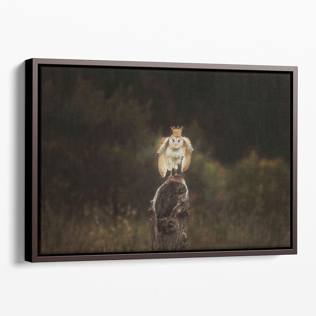The Owl King - Canvas Print Wall Art