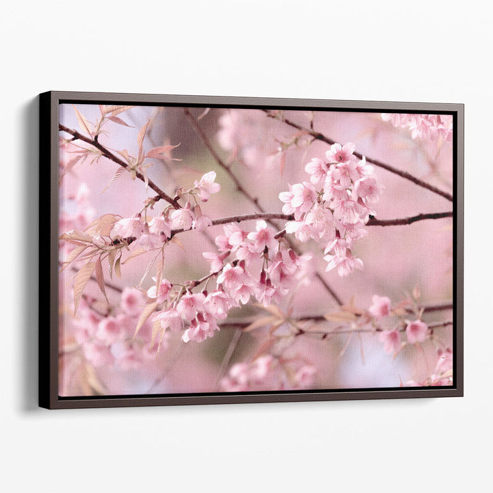 Cherry Blossom or Sakura Flower - Canvas Print Wall Art