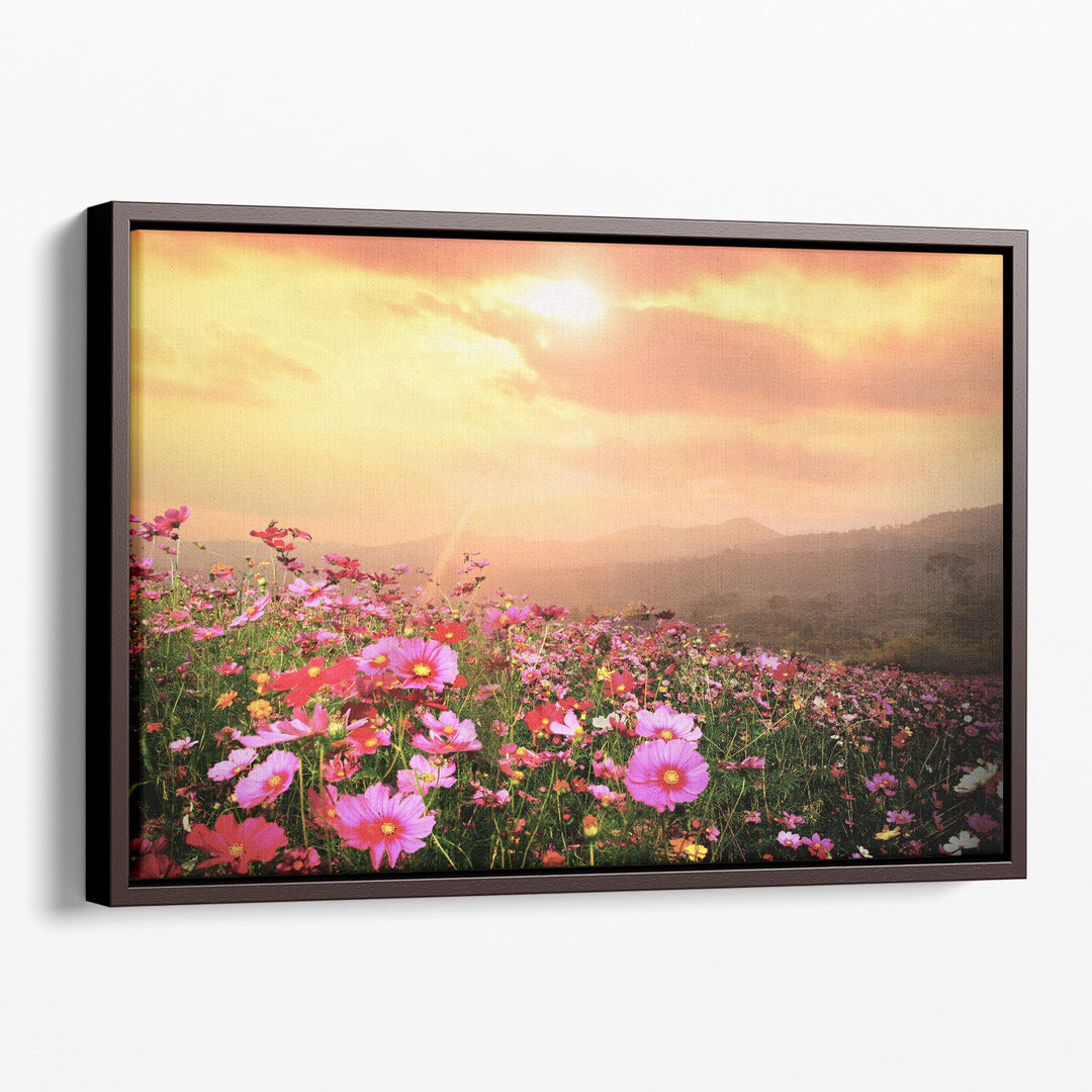 Cosmos flower wall art decor, pink blooms and golden sky