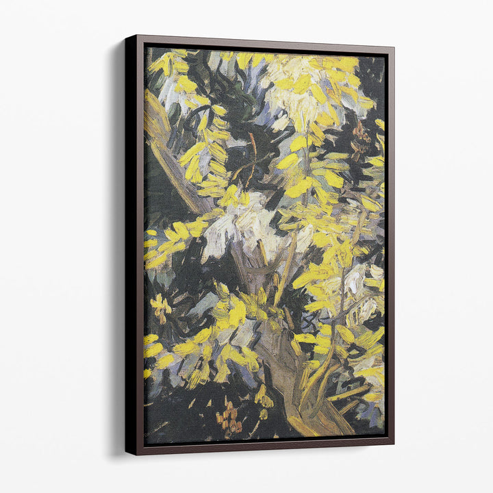 Blossoming Acacia Branches, 1890 - Canvas Print Wall Art