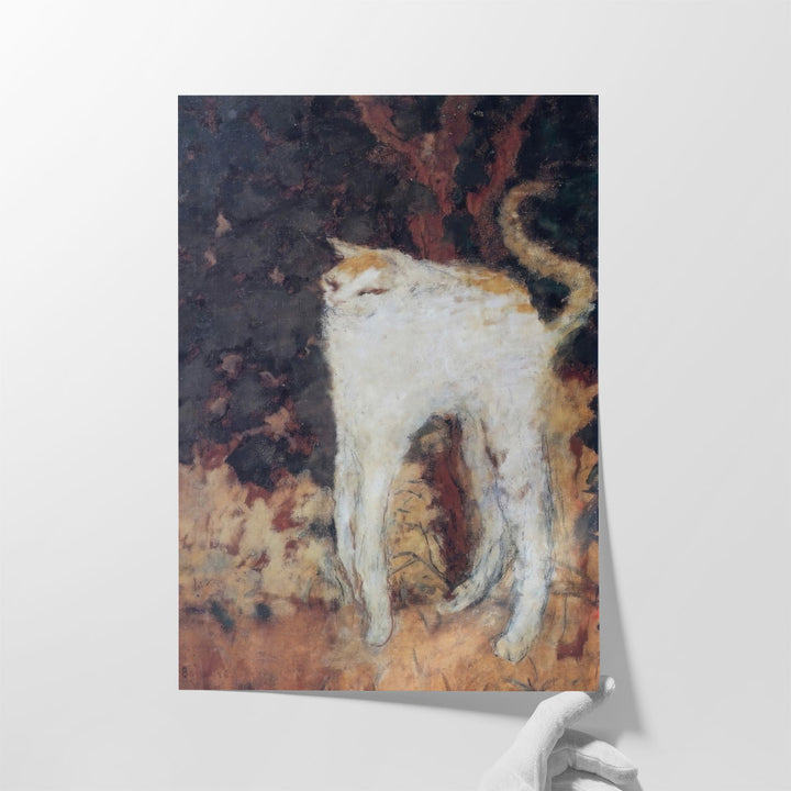 The White Cat - Canvas Print Wall Art
