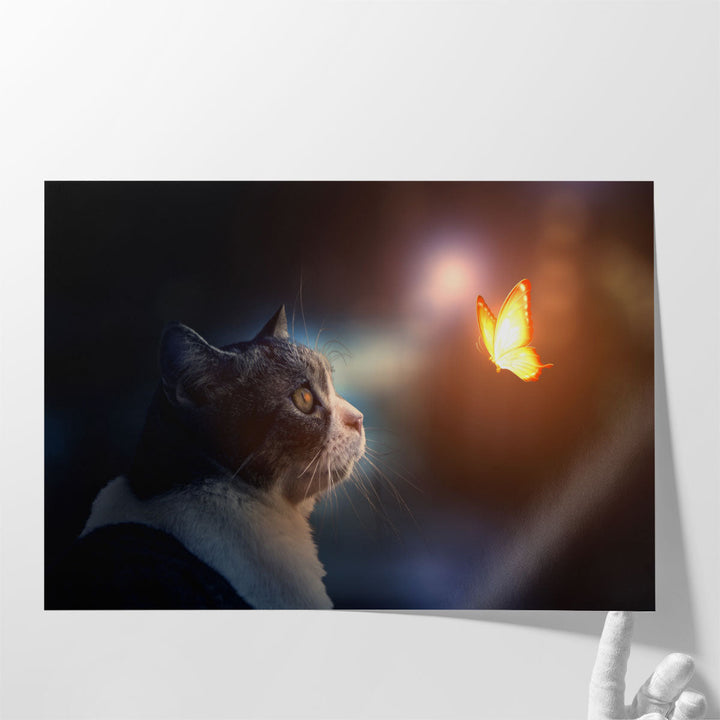 A Cat Looking At A Fantastic Light Butterfly - Canvas Print Wall Art