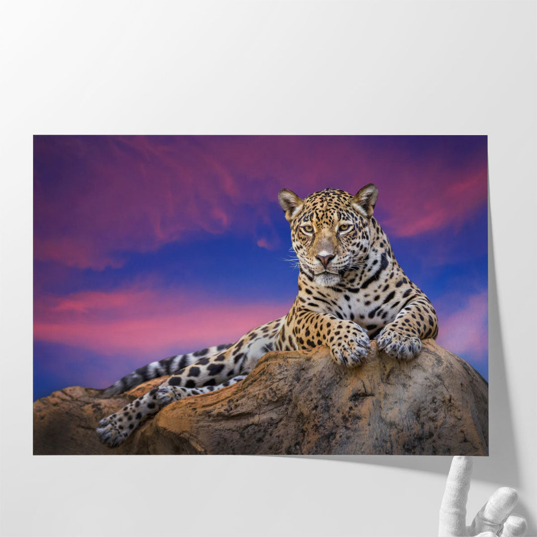 Jaguar On The Rocks - Canvas Print Wall Art