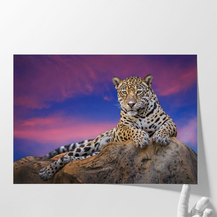 Jaguar On The Rocks - Canvas Print Wall Art