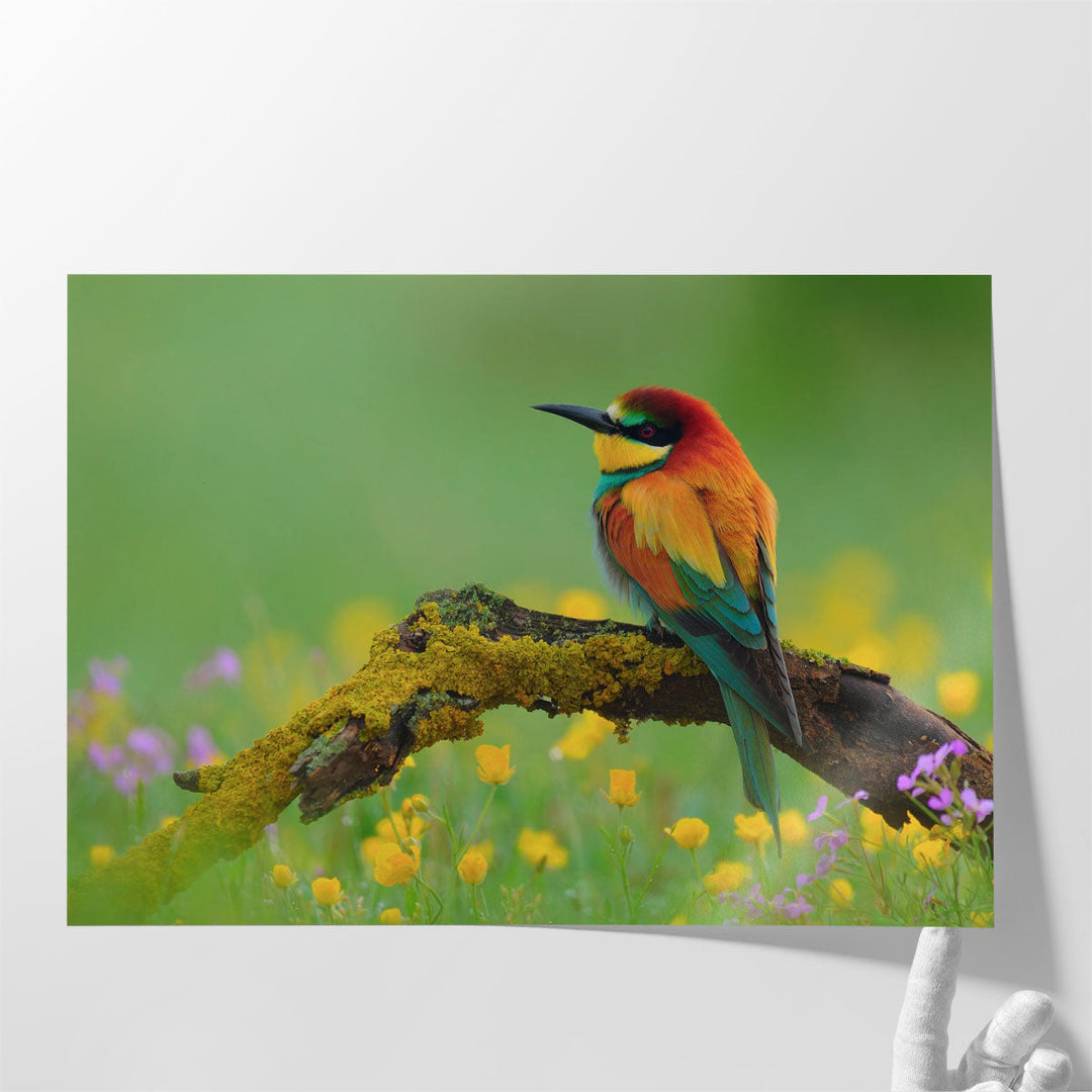 Bee-Eater Sitting on a Branch - Canvas Print Wall Art