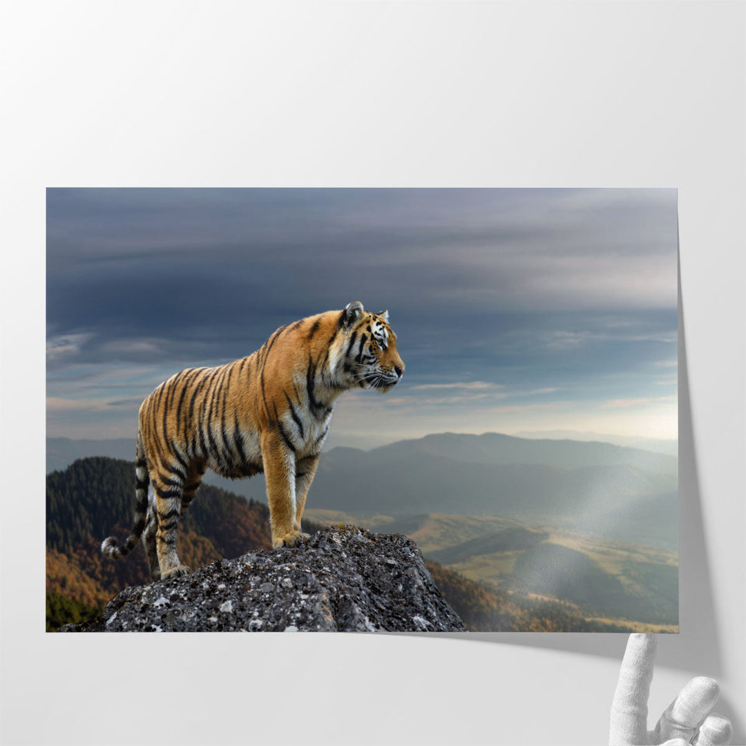 Tiger Standing On a Rock - Canvas Print Wall Art