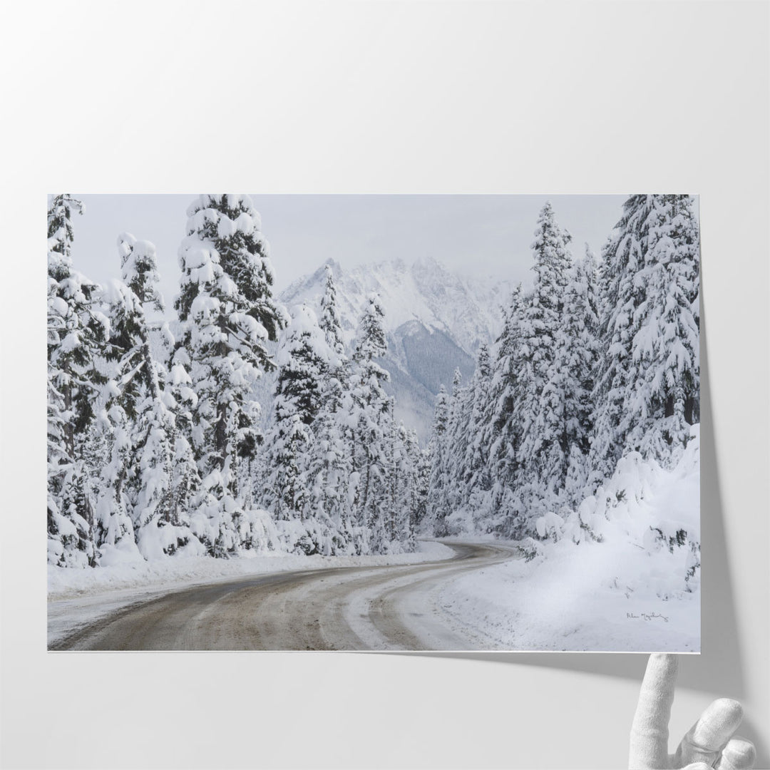 White mountain wall art with peaceful winter path