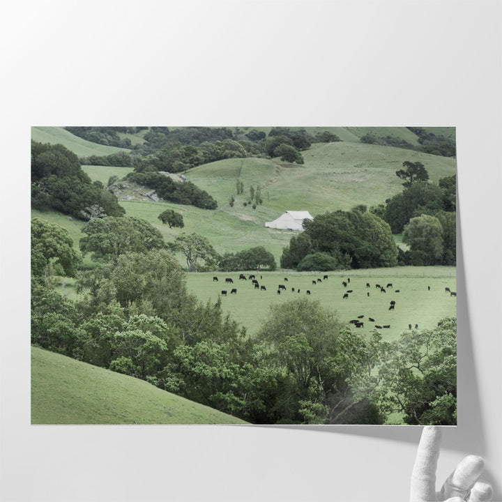 Landscape photo print for farmhouse with green tones