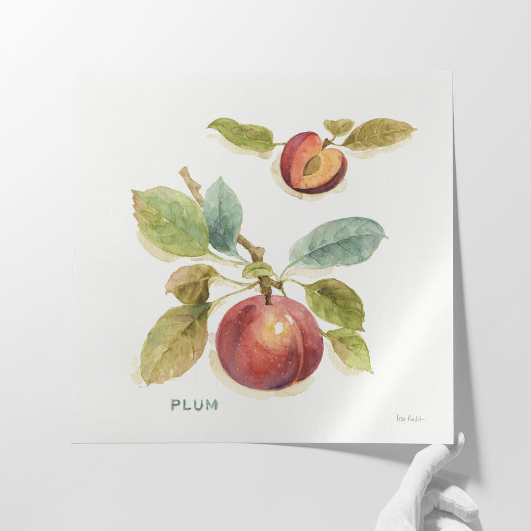Orchard Bloom IV - Canvas Print Wall Art