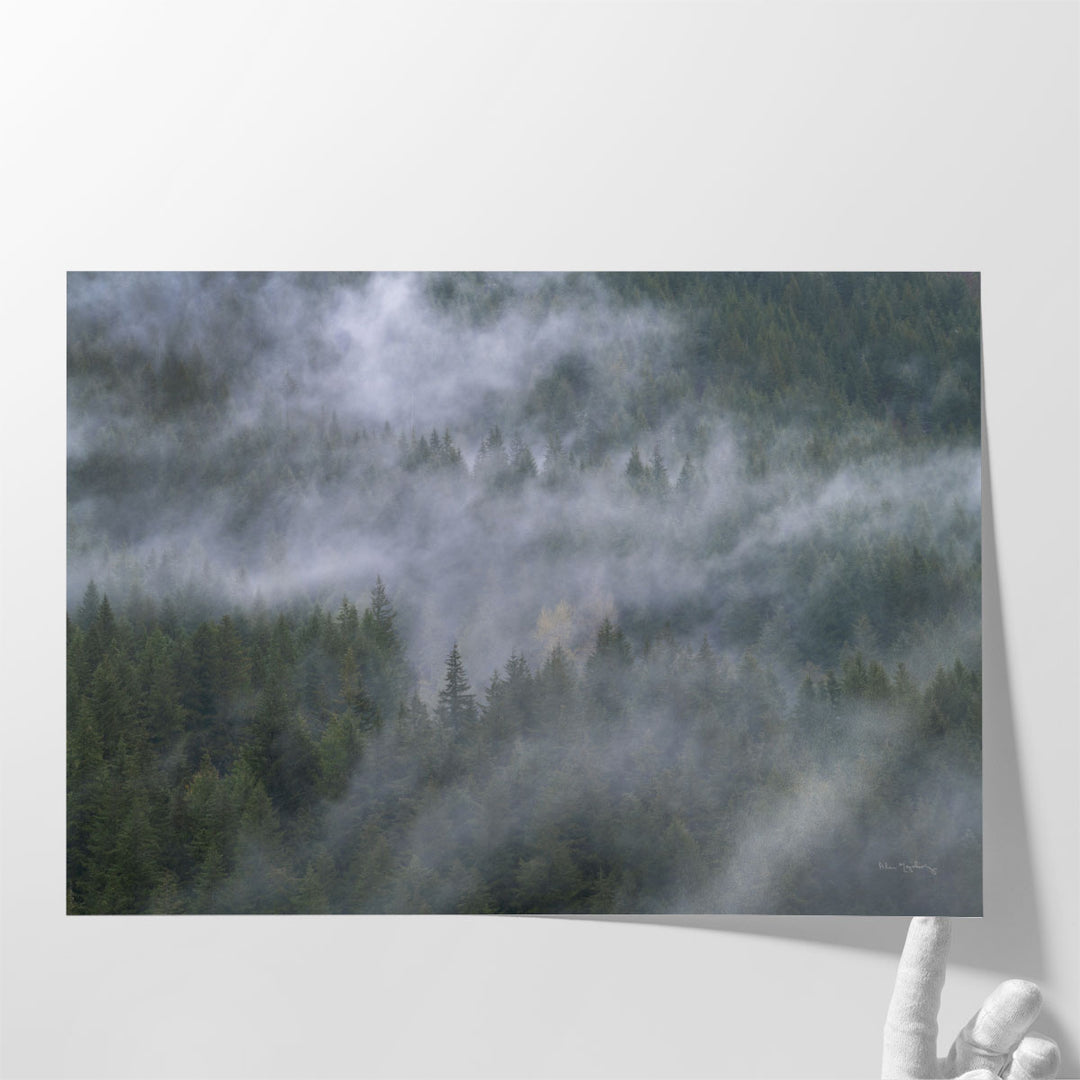 Foggy mountain wall art with layered trees