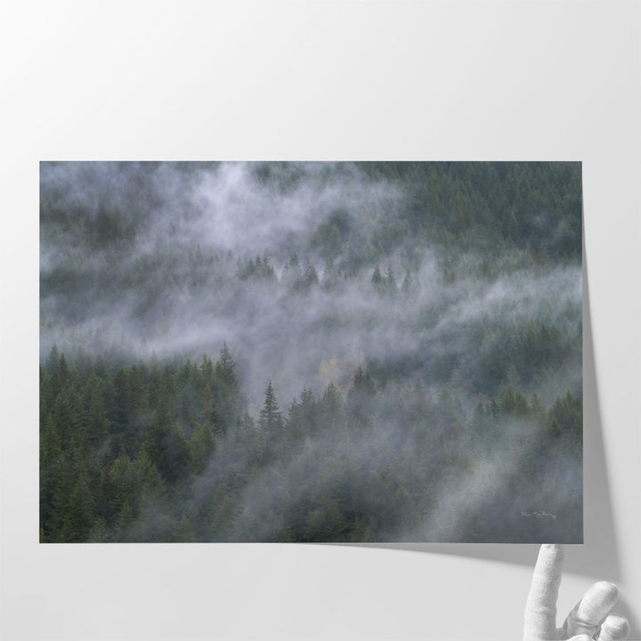 Foggy mountain wall art with layered trees