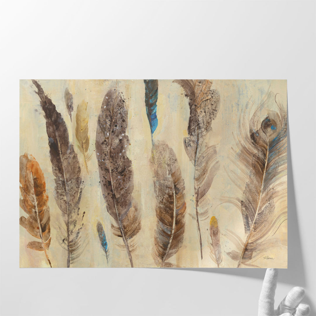 Feather Study - Canvas Print Wall Art