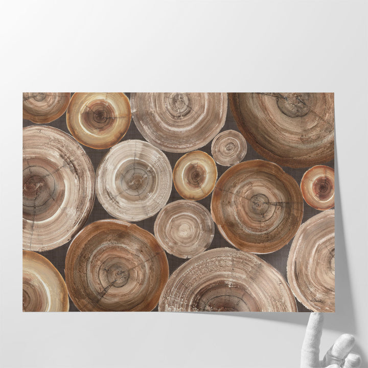 Rings Of Life II - Canvas Print Wall Art
