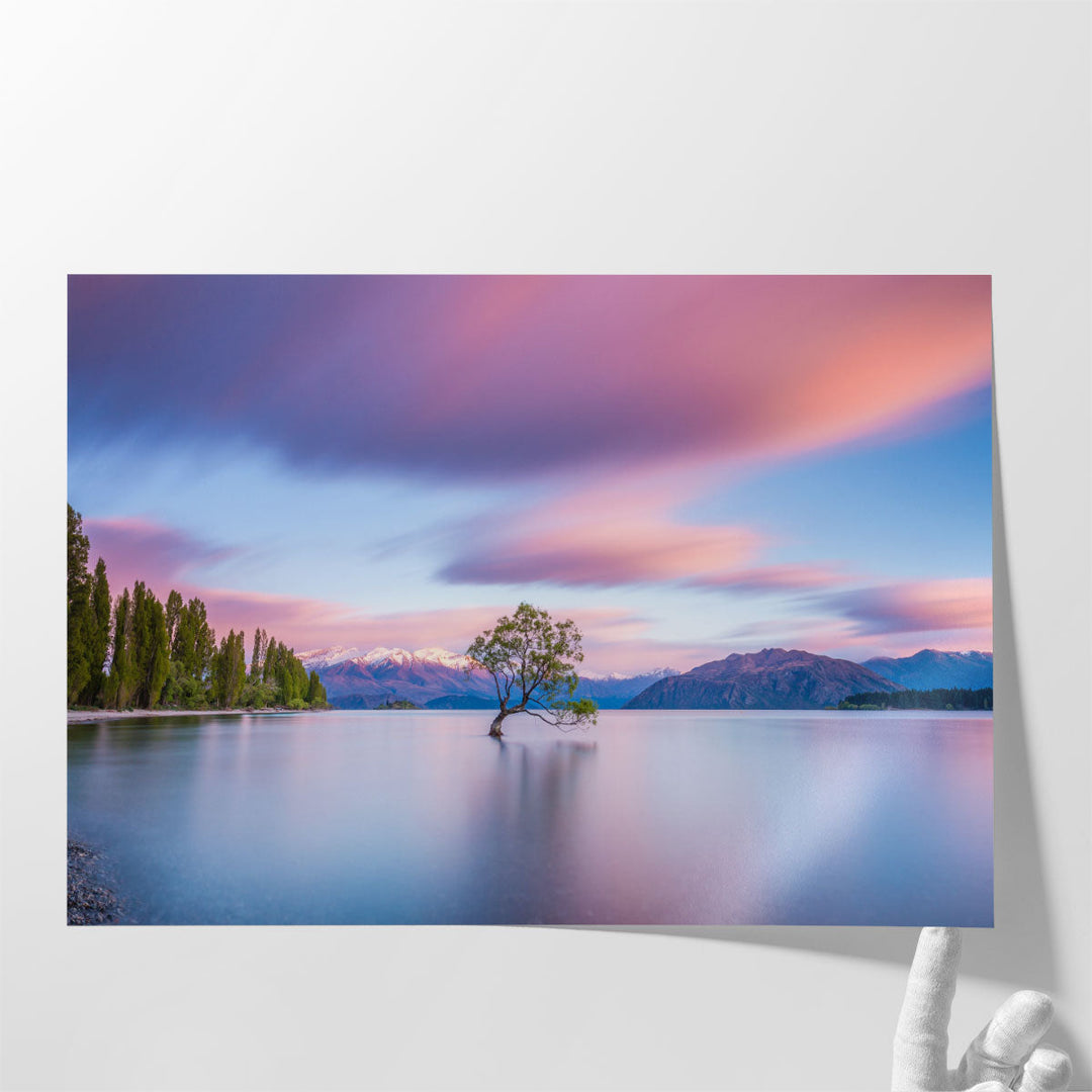 That Wanaka Tree At Sunrise - Canvas Print Wall Art