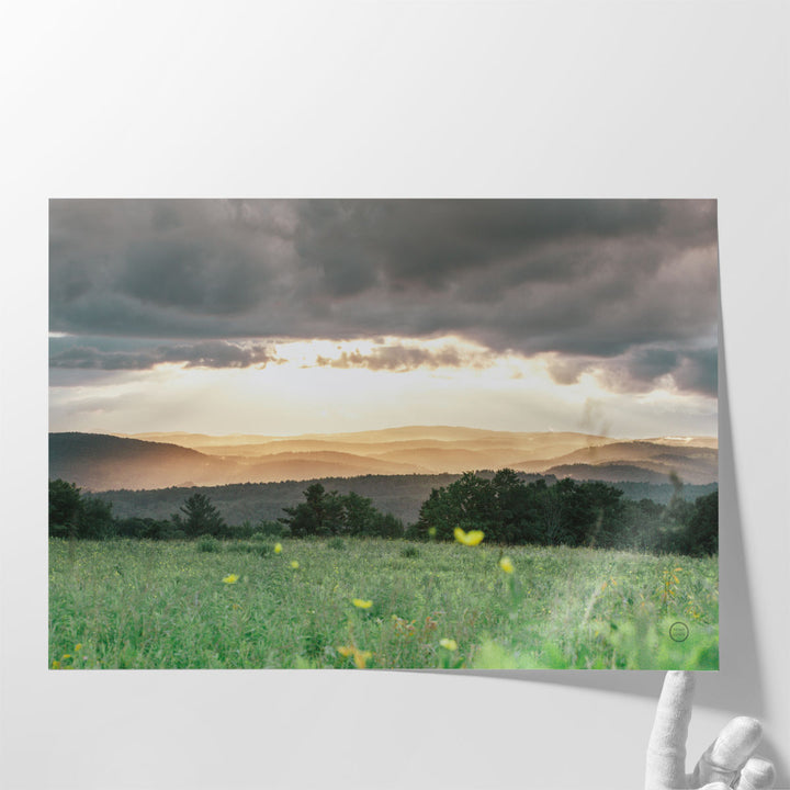 Grassy landscape photography print for living room