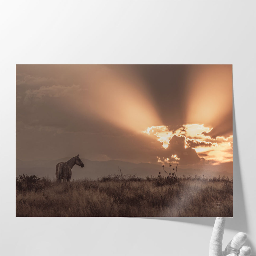 Large wall art horse in countryside