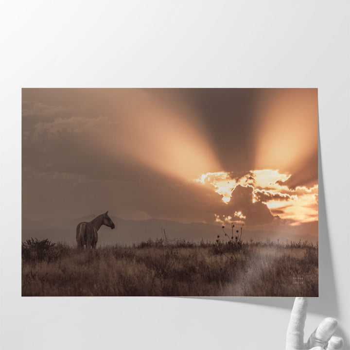 Large wall art horse in countryside