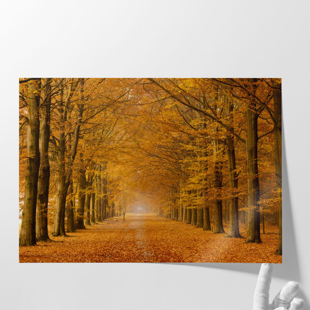 Autumn Trees - Canvas Print Wall Art