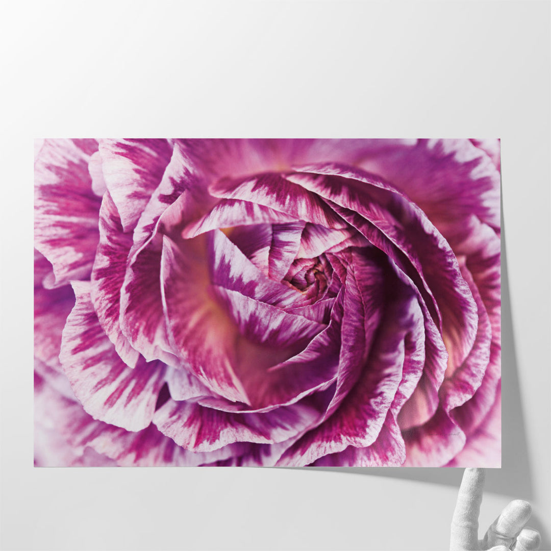 Close-up floral wall art with soft abstract detail