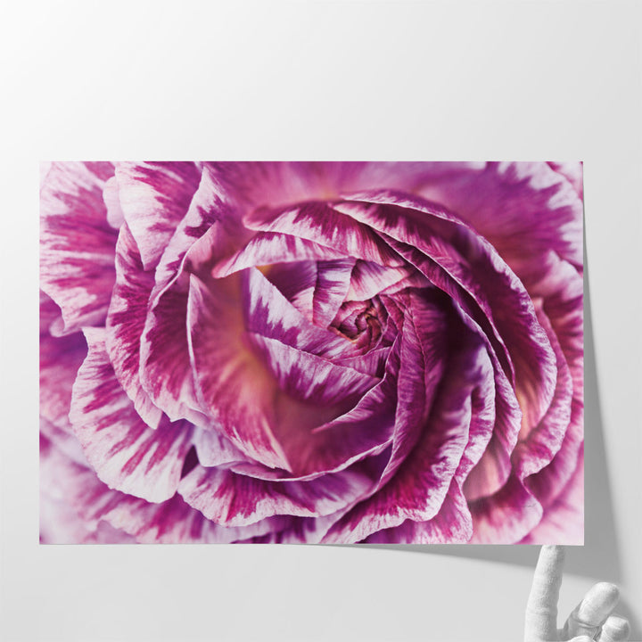 Close-up floral wall art with soft abstract detail