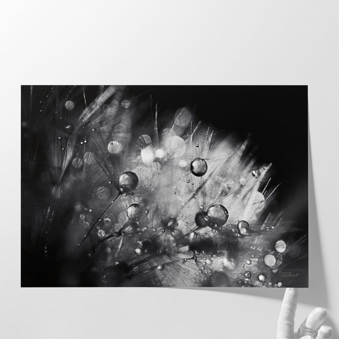 Hallway wall decor featuring floral artwork