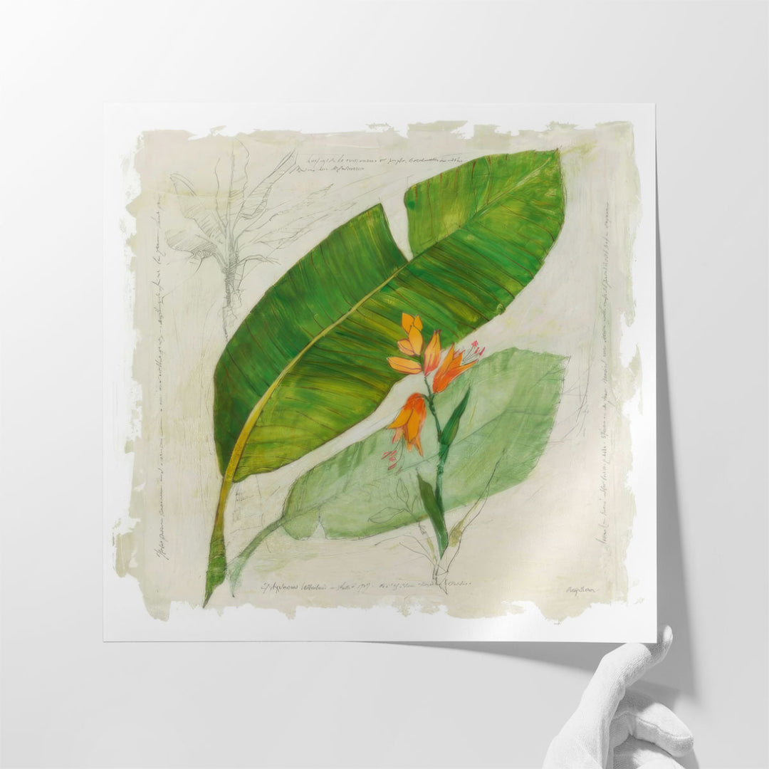 Botanical Study I - Canvas Print Wall Art