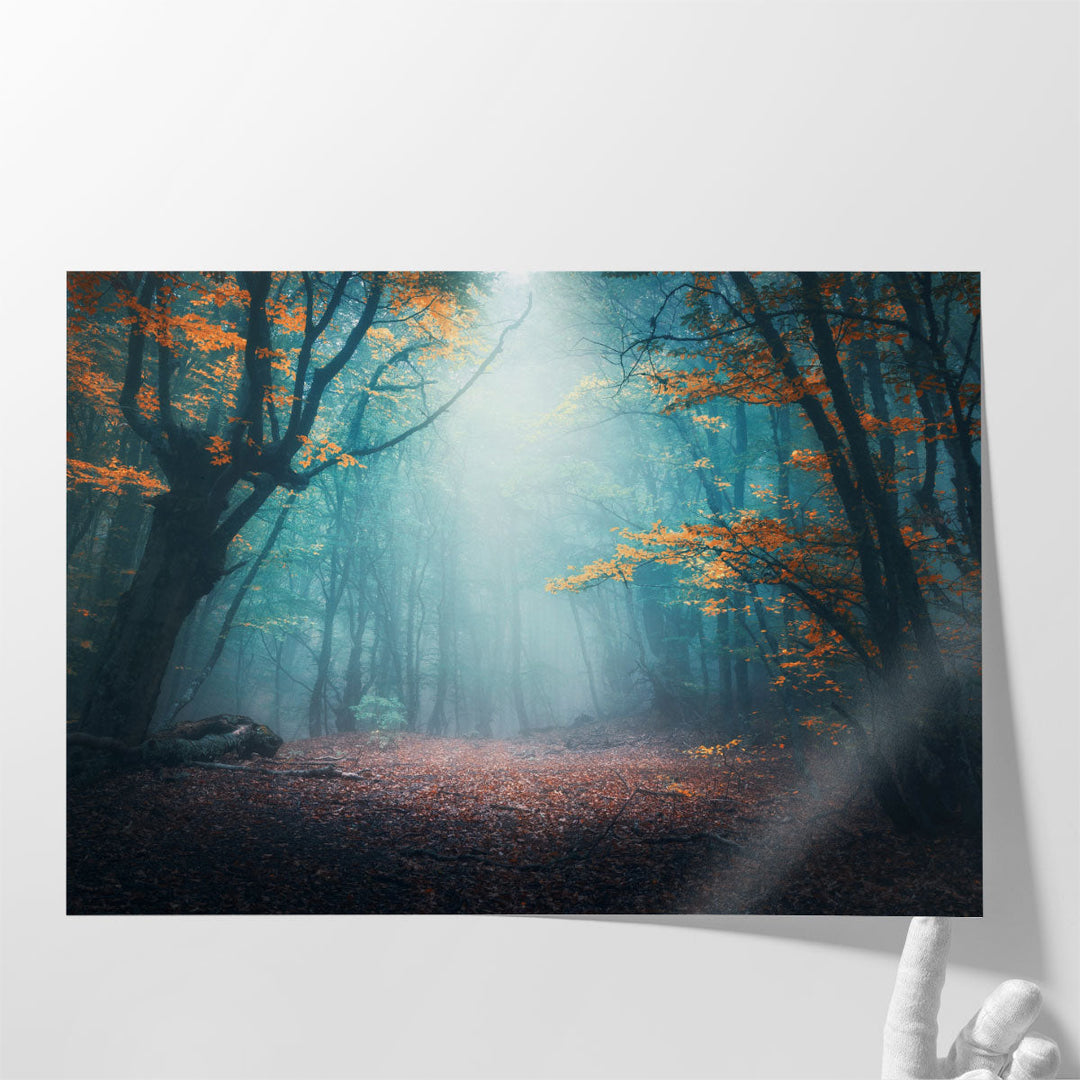 Mystical Forest in Blue Fog in Autumn - Canvas Print Wall Art