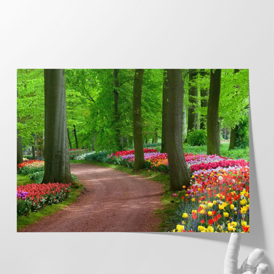 Beauty of Spring, Colorful Tulips - Canvas Print Wall Art