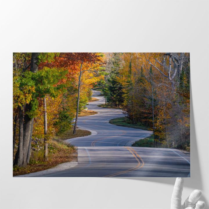 Door County Curvy Road, Wisconsin - Canvas Print Wall Art