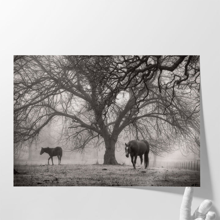 Black and white photography prints for farmhouse decor
