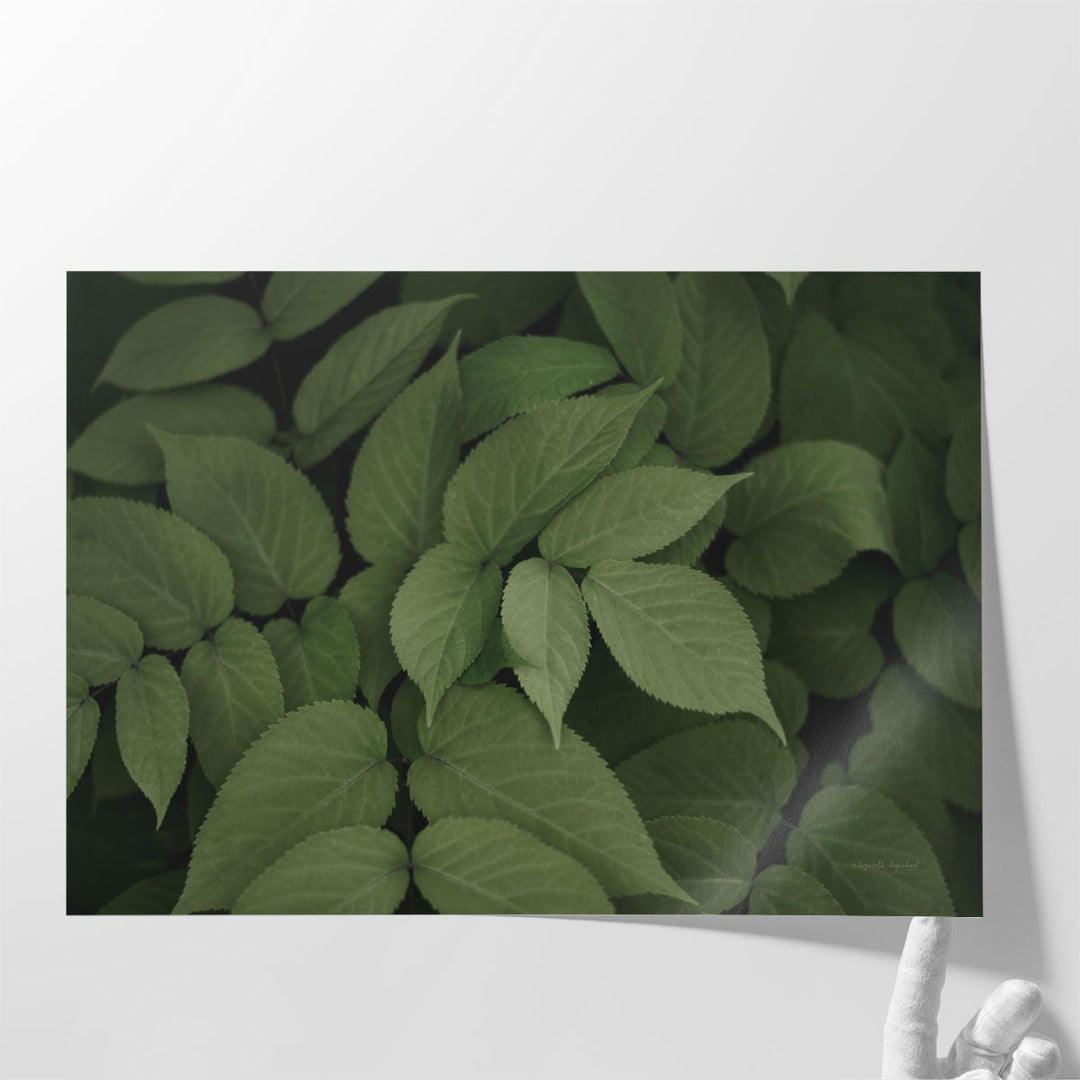 Leafy I - Canvas Print Wall Art