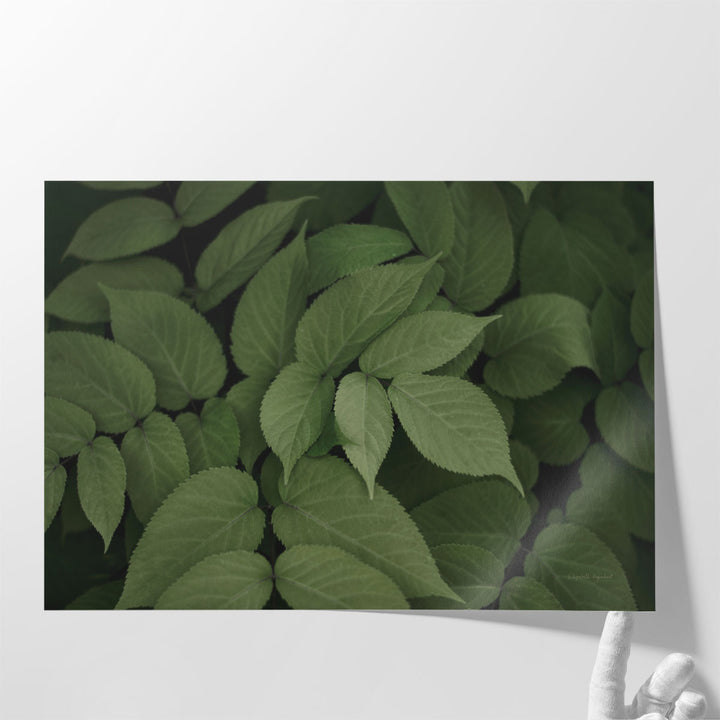 Leafy I - Canvas Print Wall Art