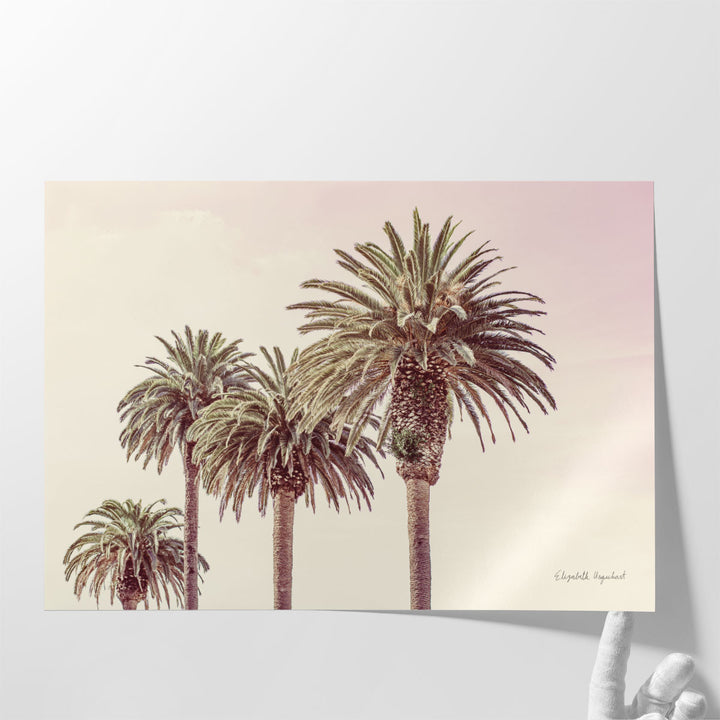 Pastel Palms - Canvas Print Wall Art