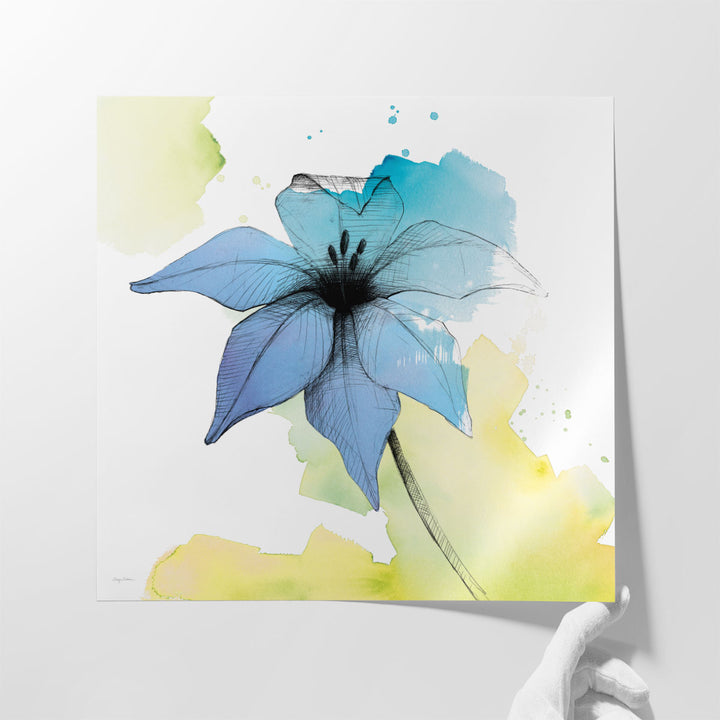 Watercolor Graphite Flower V - Canvas Print Wall Art