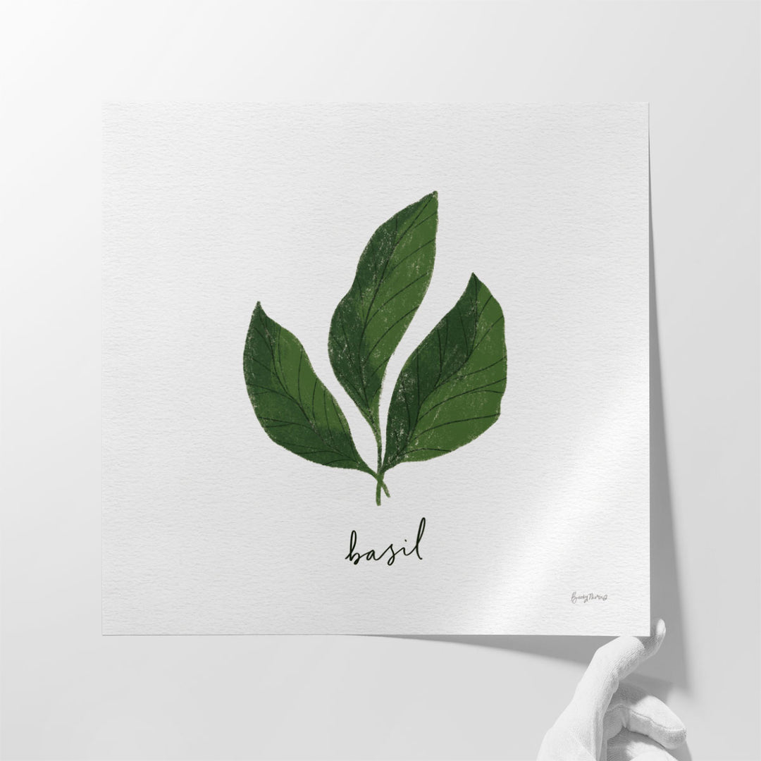 Herbs VI White - Canvas Print Wall Art