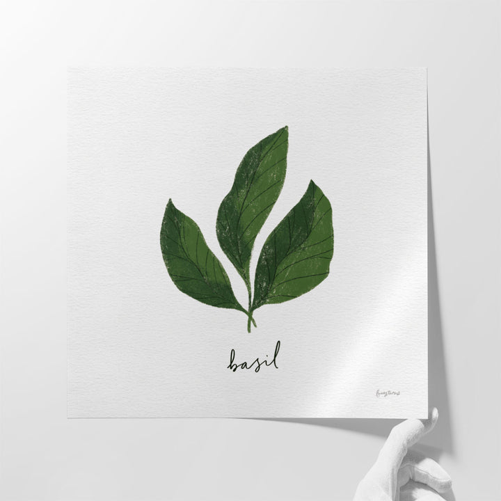 Herbs VI White - Canvas Print Wall Art