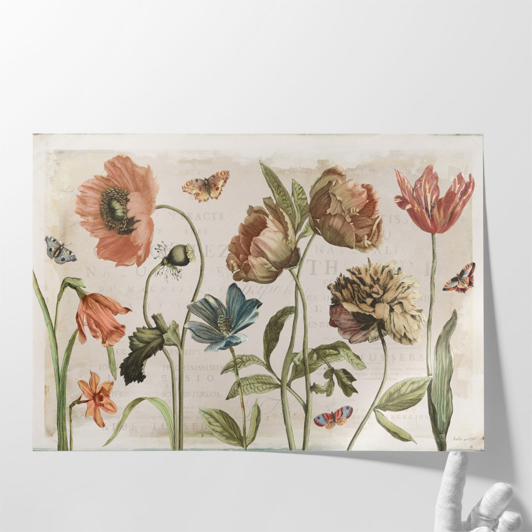 Antiquarian Blooms I - Canvas Print Wall Art