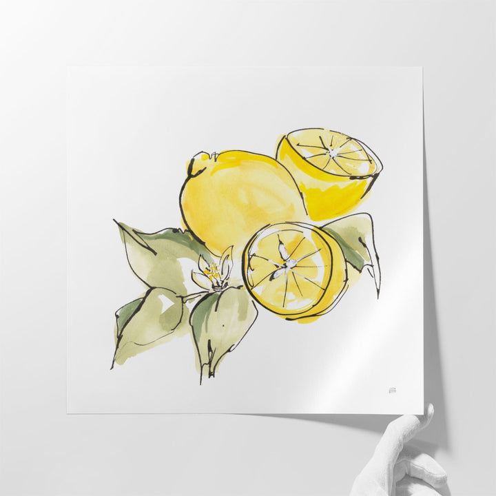 Huge Framed Watercolor Art for Kitchen – oversized citrus artwork