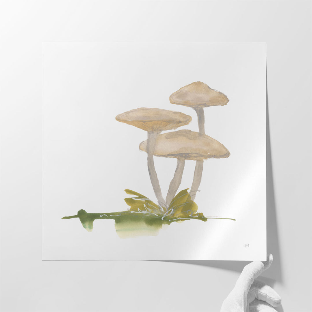 Mellow Mushrooms I - Canvas Print Wall Art