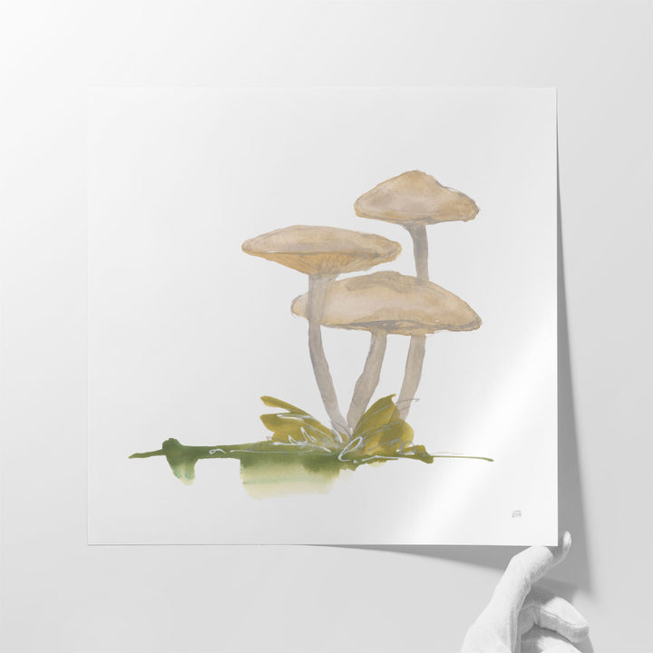 Mellow Mushrooms I - Canvas Print Wall Art