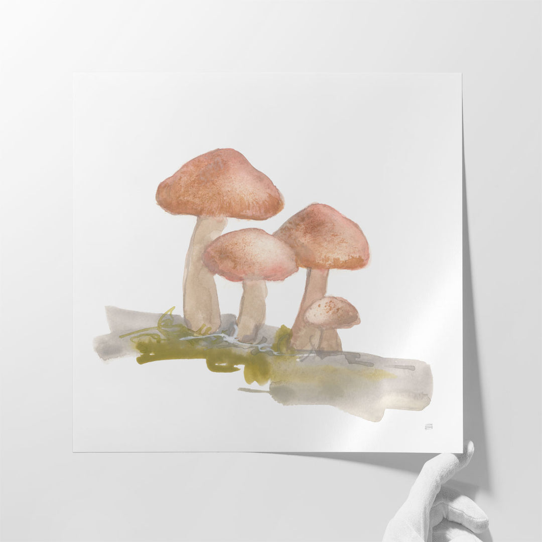 Mellow Mushrooms II - Canvas Print Wall Art