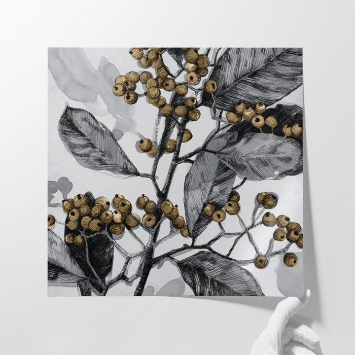 Holly Shadow I - Canvas Print Wall Art