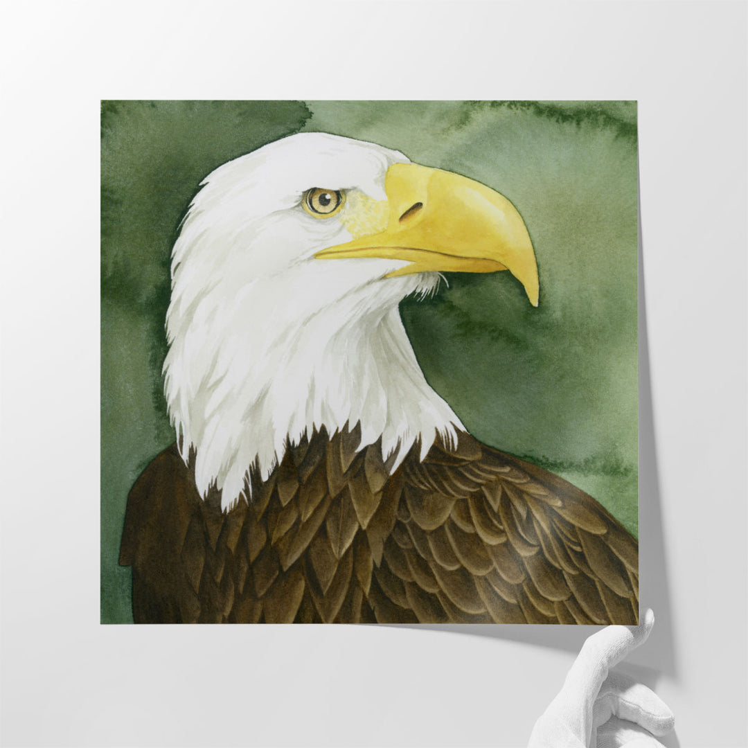 Bald Eagle Stare I - Canvas Print Wall Art