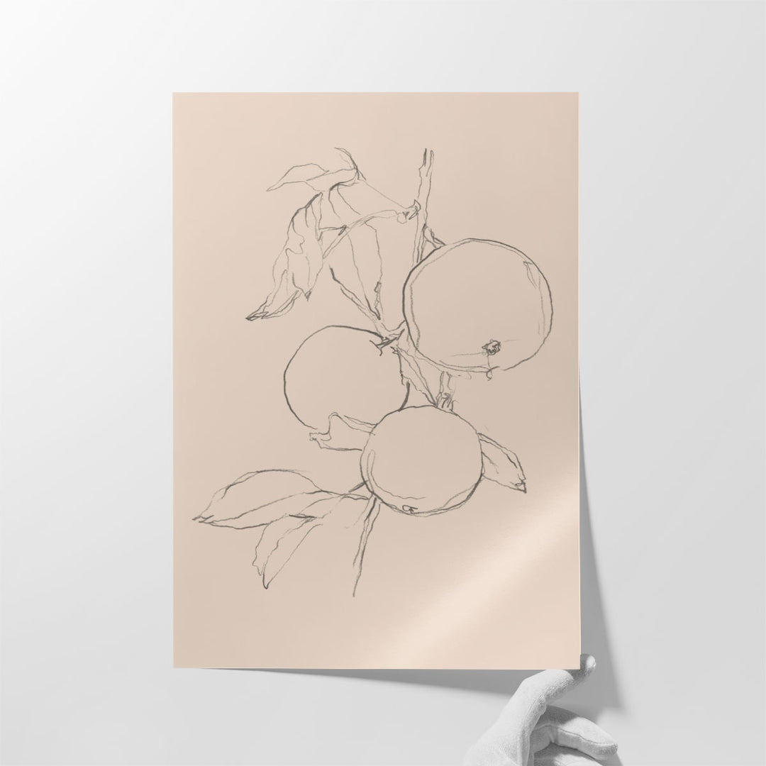 Kitchen wall decor –  sketch accent
